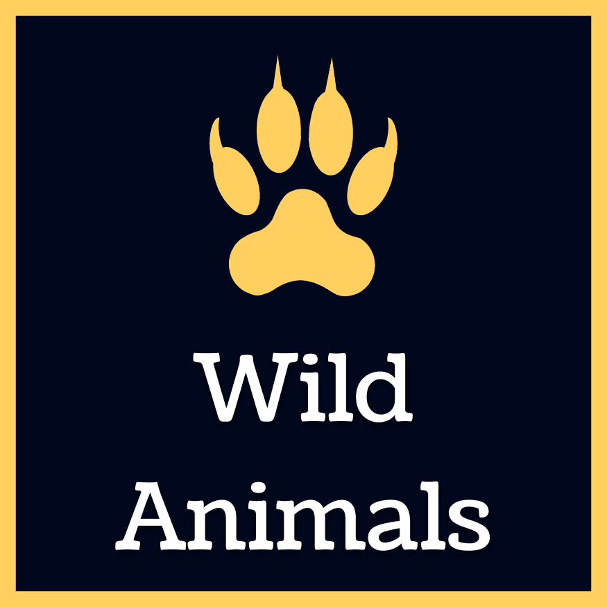 WildAnimals