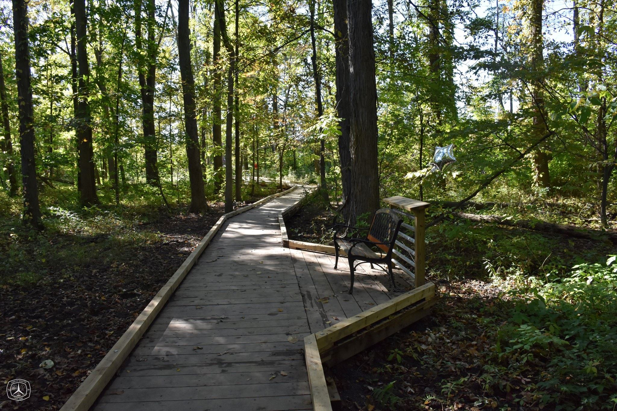 Hickory Bark Woods 1